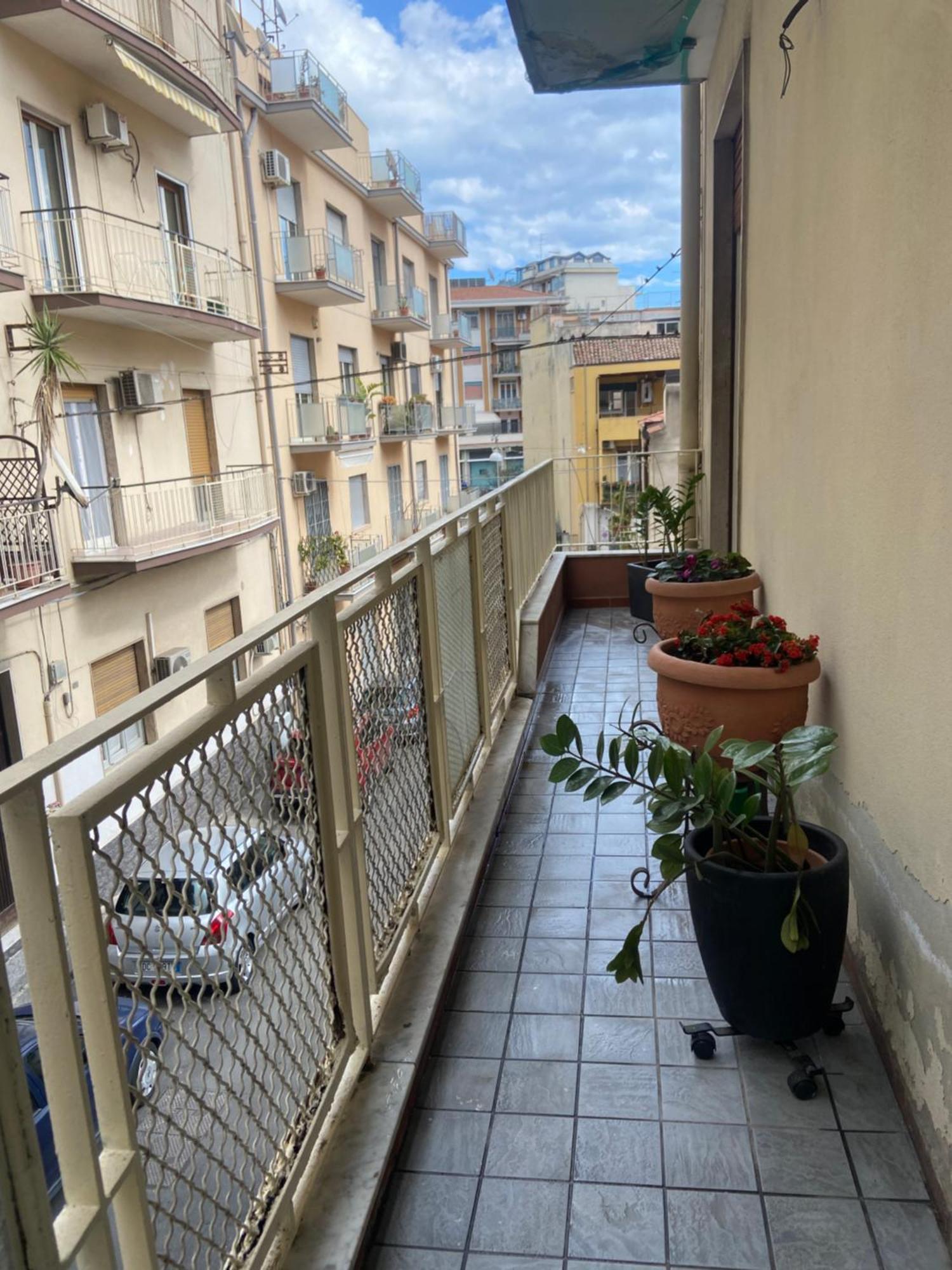 Amocatania